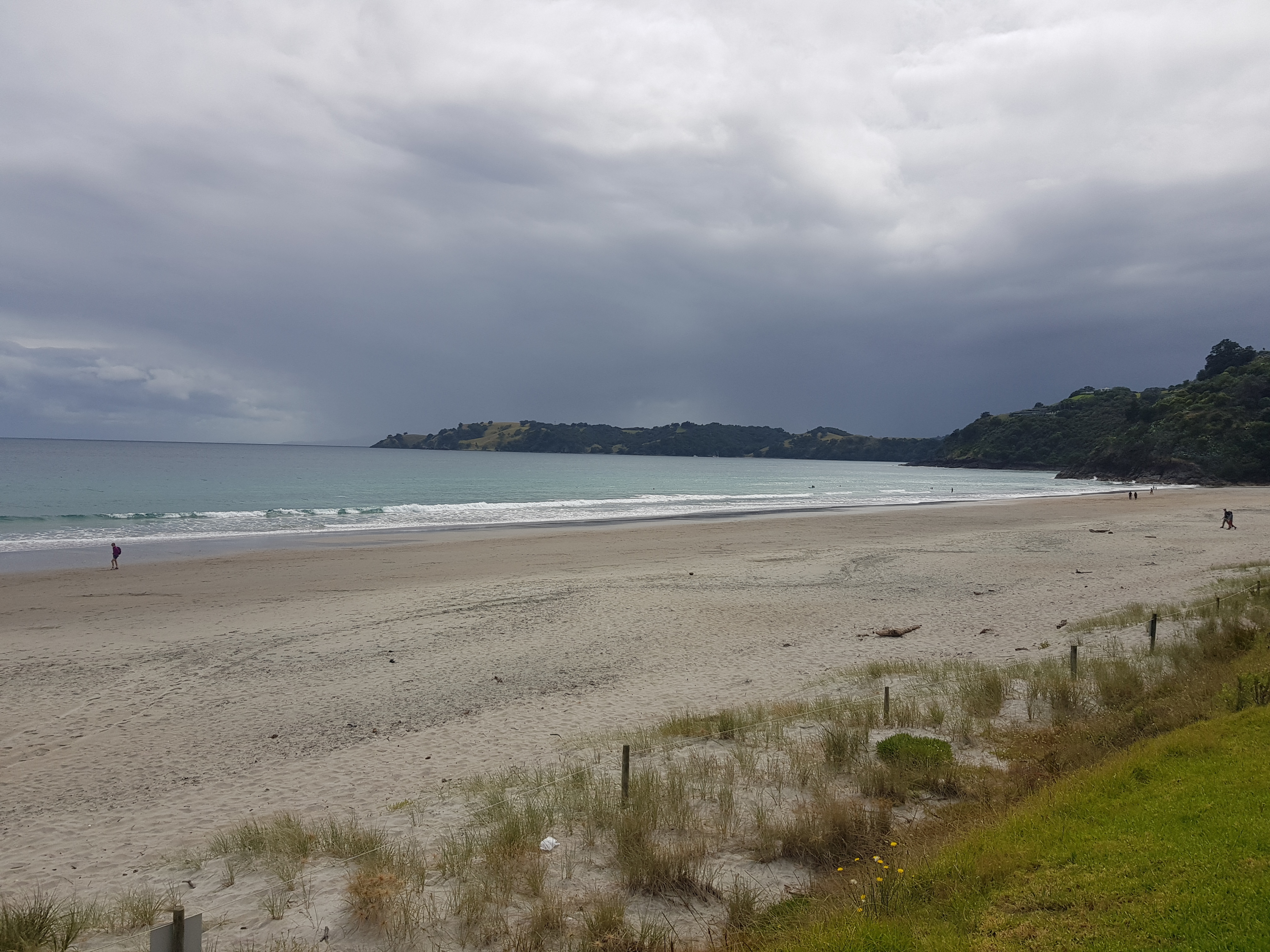 Beach at Waiheke Island